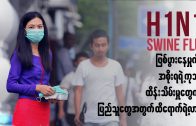 H1N1 controlled by Government is ENOUGH?