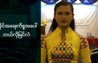 How do Youth of Myanmar comment on Rakhaine Crisis?